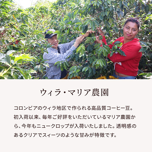 ウィラ・マリア農園　説明サブ