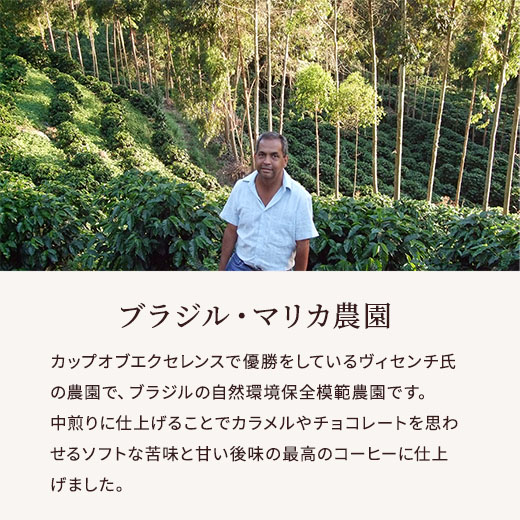 ブラジル・マリカ　説明サブ