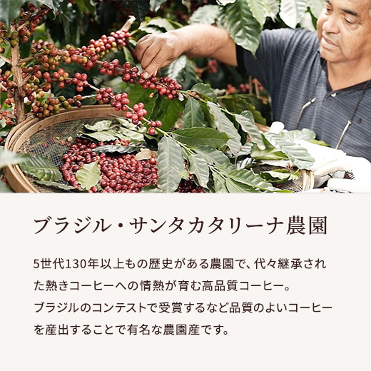 サンタカタリーナ農園　説明サブ