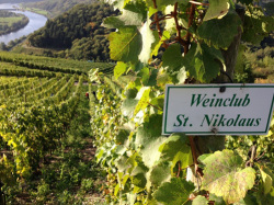 ぶどうの樹3本のオーナー