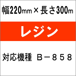 東芝テック(株) B-858対応インクリボン　BR-3022A22　10巻　／商品コード：[31229]