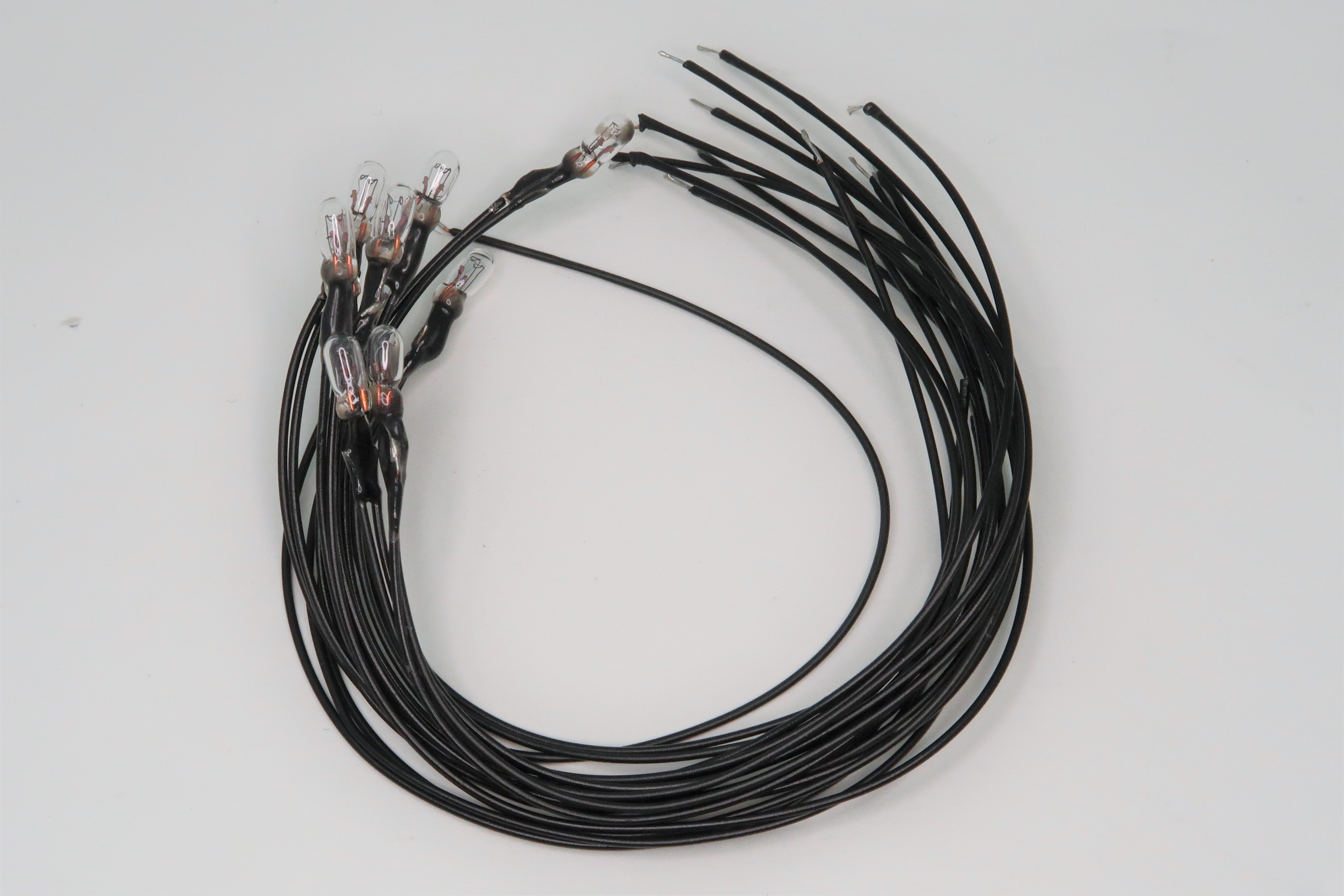 12V電球（10本入）