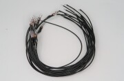 12V電球（10本入）