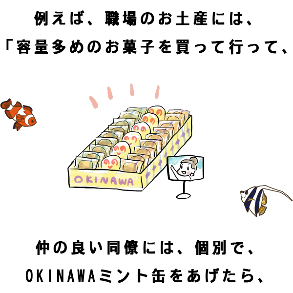ミントタブレット ミント缶 清涼菓子 沖縄県NEXT優良県産品 沖縄 お土産 ノベルティ 沖縄限定 OKINAWAミント缶 12缶パック
