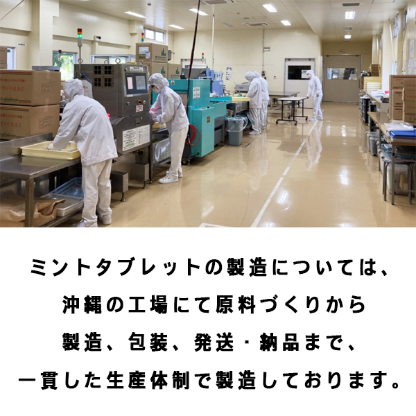 ミントタブレット ミント缶 清涼菓子 沖縄県NEXT優良県産品 沖縄 お土産 ノベルティ 沖縄限定 OKINAWAミント缶 12缶パック