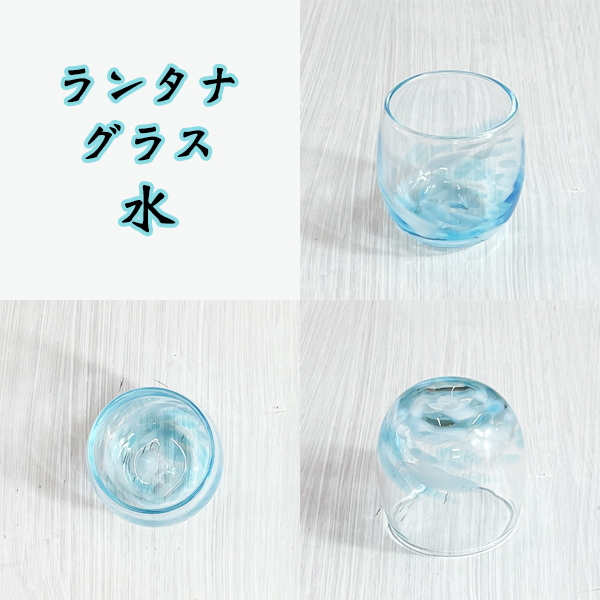 アクアプラント製　シーラカンス　根付ストラップ　希少 シーラカンス幼魚スタチュー（12月） - アクアプラント