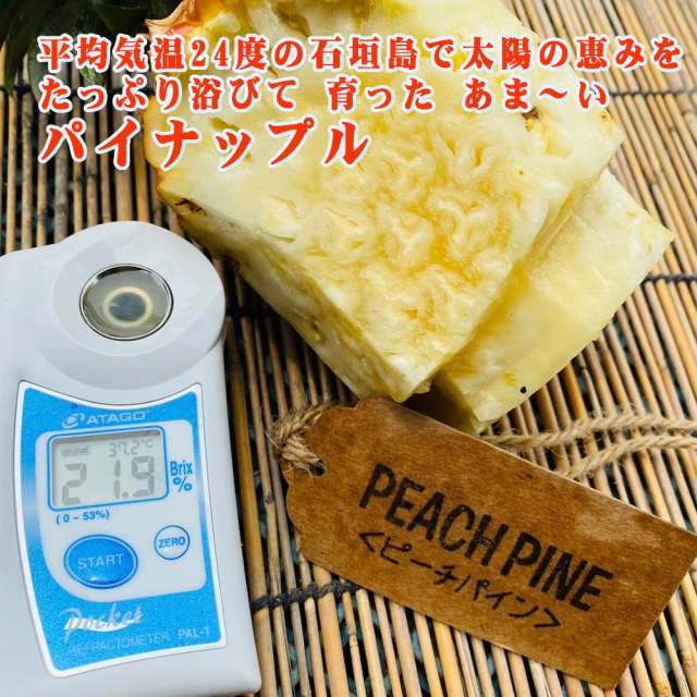 パイナップル フルーツ 果物 南国 ギフト 母の日 沖縄県産 石垣島産