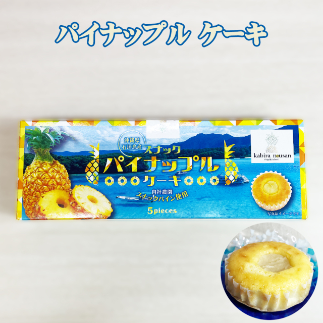 スナックパイナップルケーキ 南国 スイーツ 沖縄 お土産 パイン スナックパイナップル ケーキ 5個入