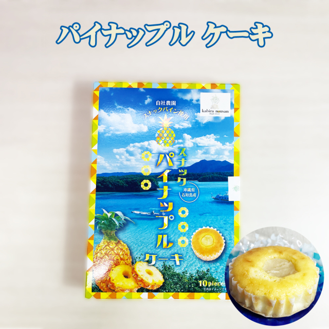 スナックパイナップルケーキ 南国 スイーツ 沖縄 お土産 パイン スナックパイナップル ケーキ 10個入