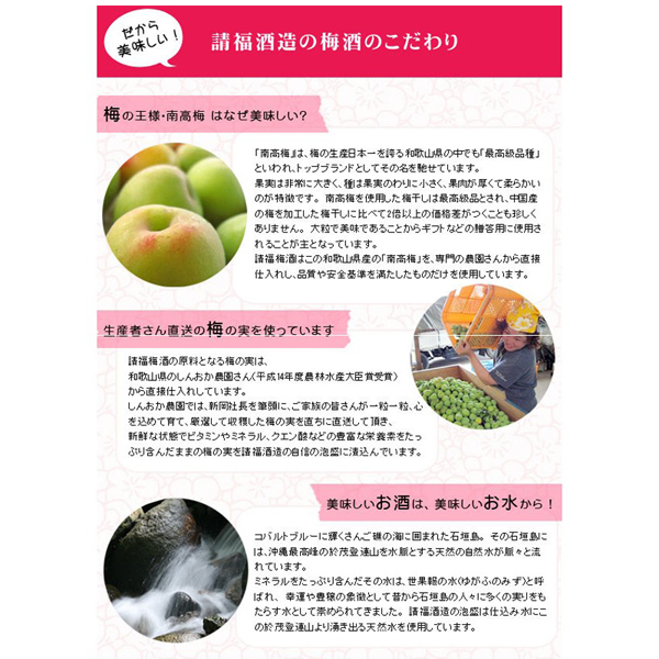 梅酒 泡盛仕込み 黒糖仕立て 12度 720ml 請福酒造 リキュール 沖縄土産
