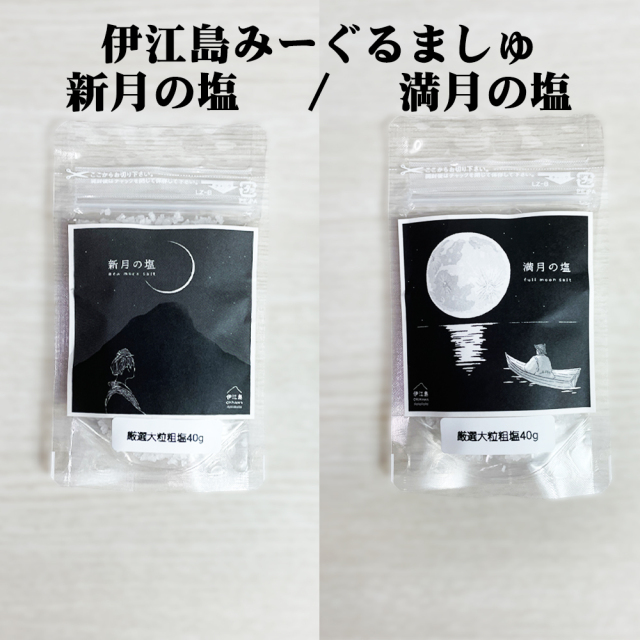 塩 食塩 SALT 沖縄 お土産 海水塩 伊江島みーぐるましゅ 厳選大粒粗塩 40g