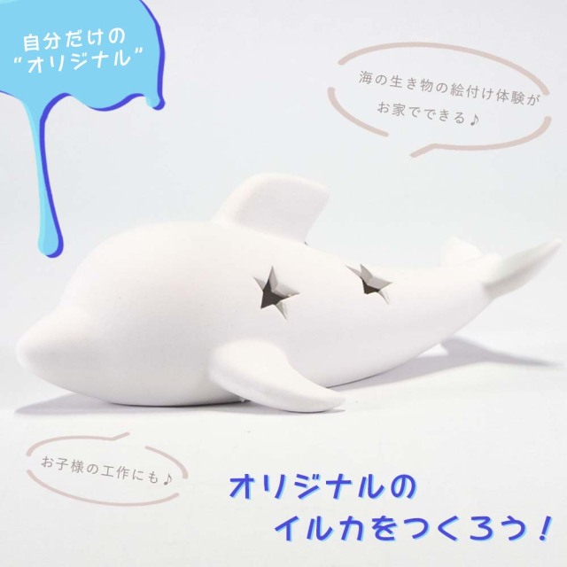 ryukyurian-075_2.jpg?t=