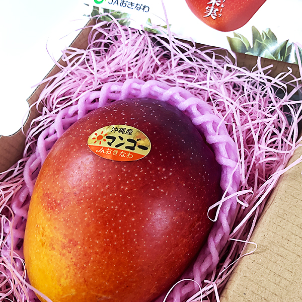 【 沖縄 】摘果マンゴー Lサイズ約10.6kg 【raw mango】 Amazon.co.jp: MDSTORE 沖縄青切りマンゴー 摘果マンゴー Green