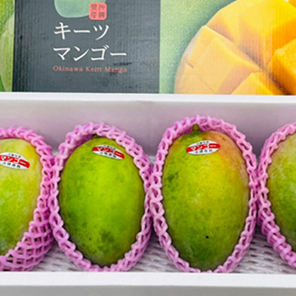 マンゴー 沖縄 お土産 果物 フルーツ 贈答用 沖縄県産 完熟