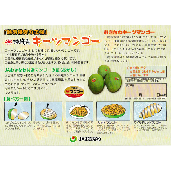 マンゴー 沖縄 お土産 果物 フルーツ 贈答用 沖縄県産 完熟