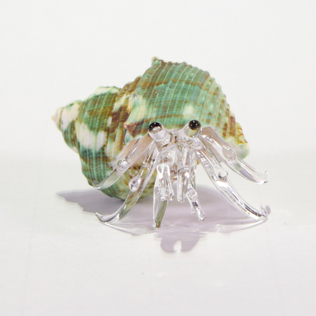 やどかり様 専用ページ （自然素材貝殻】ヤドカリさんのお家 （巻貝  