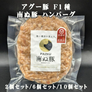 沖縄 お土産 お取り寄せ グルメ 沖縄県産あぐー豚100%使用 アグー豚 F1種 南ぬ豚 ハンバーグ 2個セット/6個セット/10個セット 冷凍