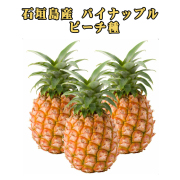 パイナップル フルーツ 果物 南国 ギフト 母の日 沖縄県産 石垣島産 ピーチパイン パイン農家直送 期間限定