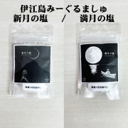 塩 食塩 SALT 沖縄 お土産 海水塩 伊江島みーぐるましゅ 厳選大粒粗塩 40g