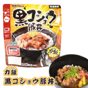 力飯 レトルト 簡単調理 沖縄 お土産 グルメ スタミナ 黒コショウ 豚バラ肉 惣菜 丼 どんぶり レンチン 力飯（くんちめし）黒コショウ豚丼 120g