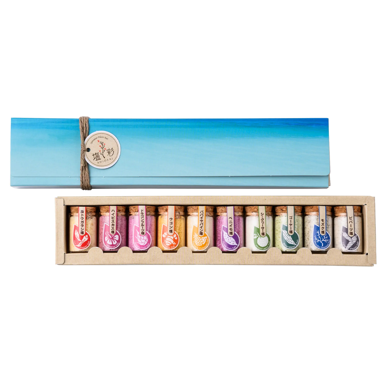 沖縄 お土産 塩 食塩 SALT 海水塩 塩彩 ミニボトル 10種類セット