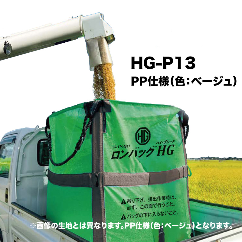 HG-P13