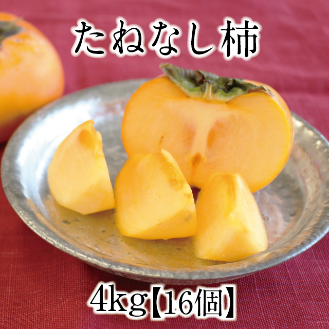 2026たねなし柿アイコン