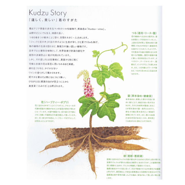 葛レシピブック１００％Kudzu