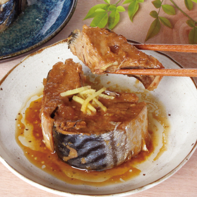 柳屋鯖缶 味付 吉野本葛 天極堂 ネット本店