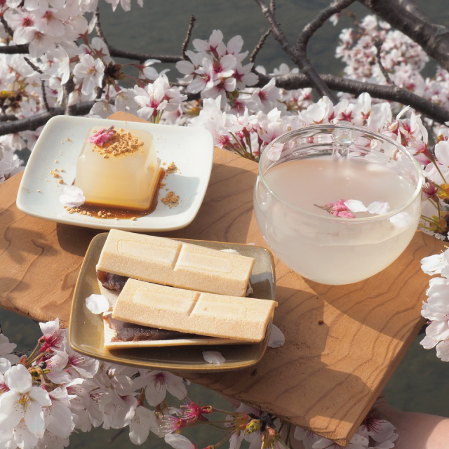 吉野本葛 天極堂 「春うららセット」