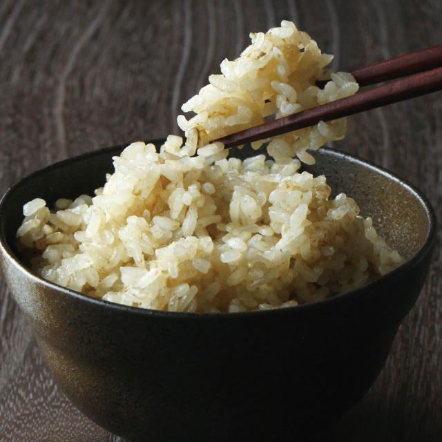 葛ごはんの素 プレミアム| 吉野本葛 天極堂 オンラインショップ