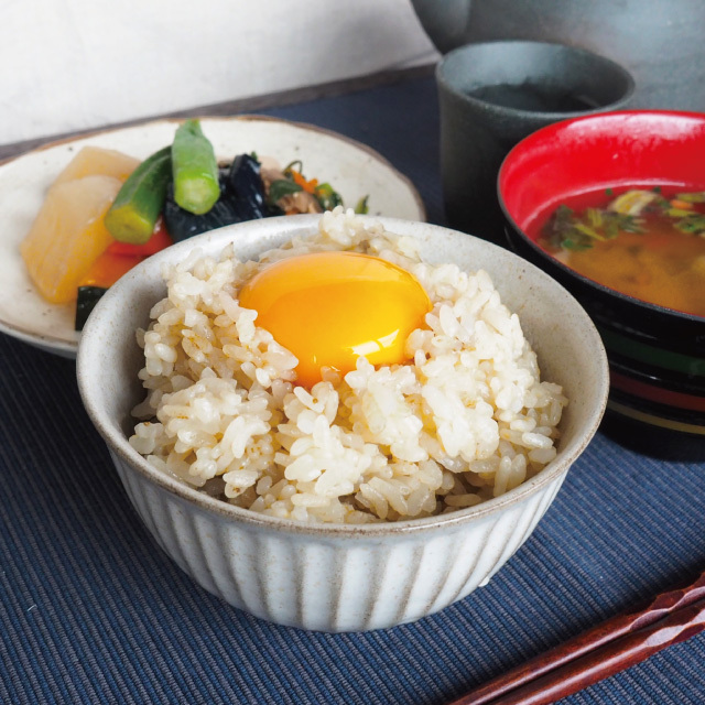 葛ごはんの素プレミアムアイコン3