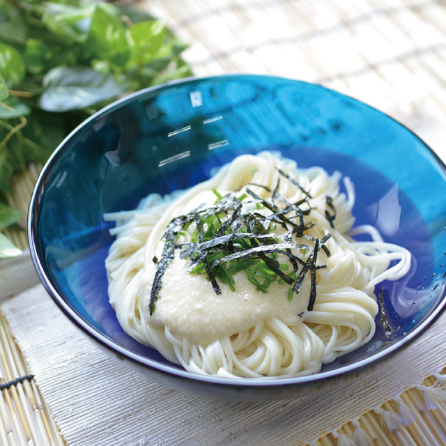 手延べ葛うどん [10本入] | 吉野本葛 天極堂 オンラインショップ