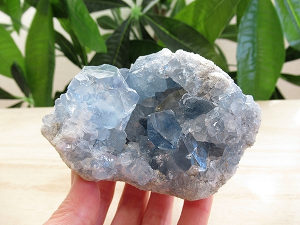 セレスタイト 原石 クラスター 天青石 天然石