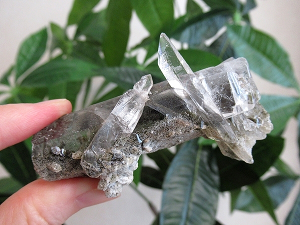 ガーデンクォーツ 原石 水晶 クラスター コリント ミナスジェライス州 ブラジル産