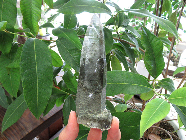 ガネーシュヒマール産 ヒマラヤ水晶 原石