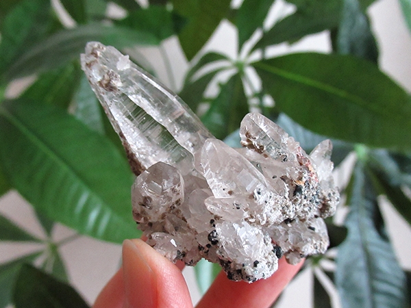 ガネーシュヒマール産　ヒマラヤ水晶 原石