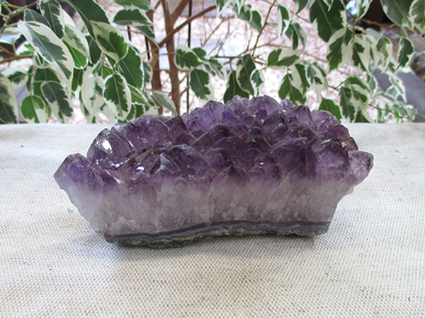 アメジスト 原石 クラスター 紫水晶 天然石専門店 販売/鬮石