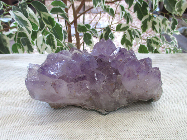 アメジスト 原石 クラスター 紫水晶 天然石専門店 販売/鬮石
