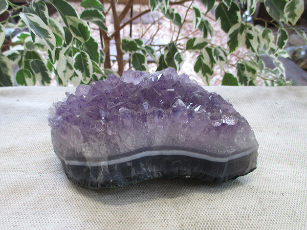 アメジスト 原石 クラスター 紫水晶 天然石専門店 販売/鬮石