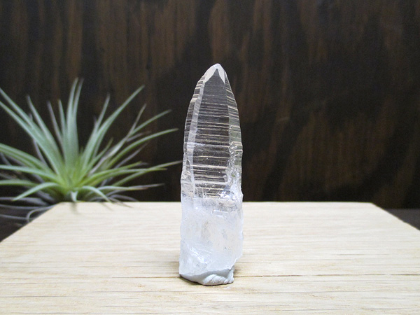 コロンビア産 レムリアンシードクリスタル 水晶 原石 特価 天然石専門店 販売