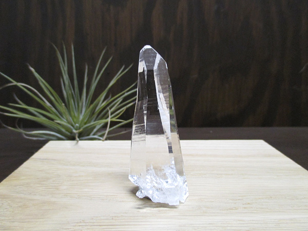 コロンビア産 レムリアンシードクリスタル 水晶 原石 天然石専門店 販売