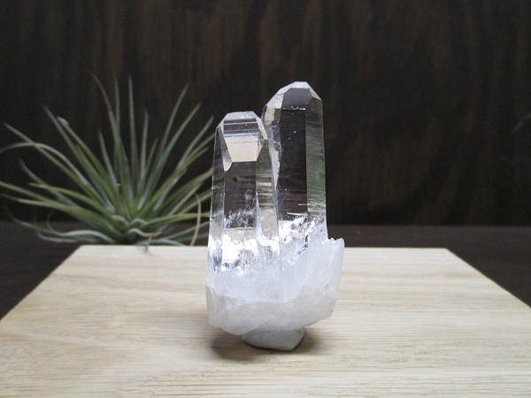 コロンビア産 レムリアンシードクリスタル 水晶 原石 天然石専門店 販売