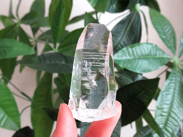 コロンビア産 レムリアンシードクリスタル 水晶 原石 天然石