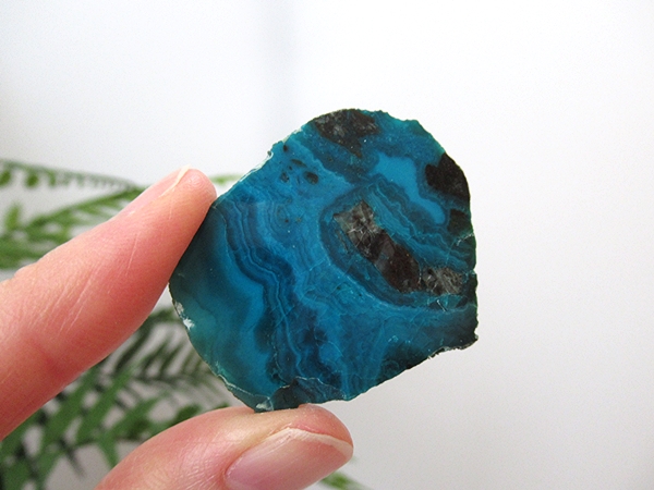 クリソコラ アリゾナ州産 原石 500g超え 【公式通販】