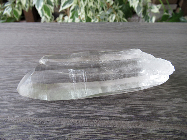 バイーア州産 レムリアンシードクリスタル 原石 天然石専門店