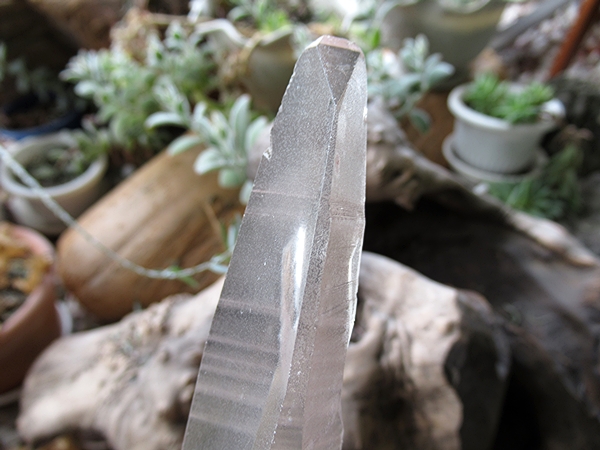 ブラジル バイーア州産 レムリアンシードクリスタル 原石 | 天然石専門