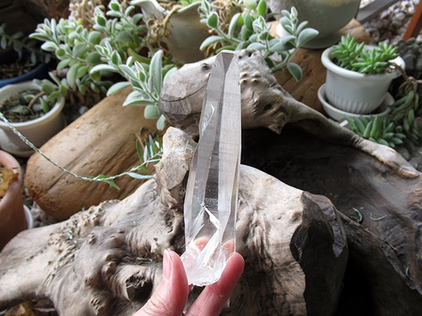 ブラジル バイーア州産 レムリアンシードクリスタル 原石 | 天然石専門