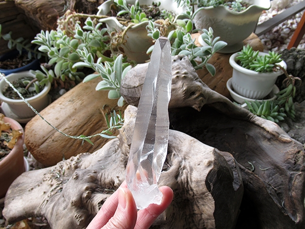 ブラジル バイーア州産 レムリアンシードクリスタル 原石 | 天然石専門