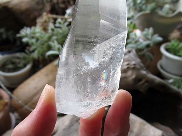 ブラジル バイーア州産 レムリアンシードクリスタル 原石 | 天然石専門